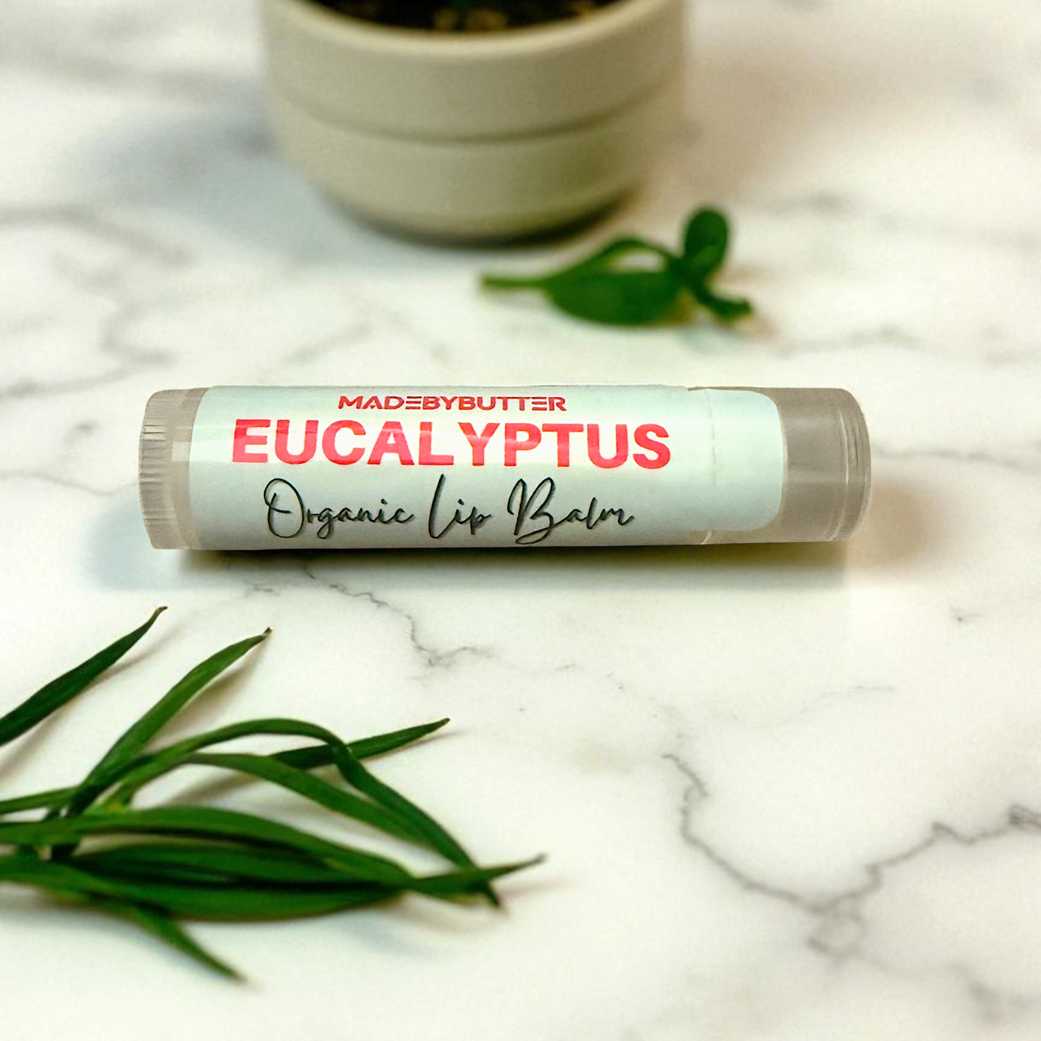 Eucalyptus Lip Balm